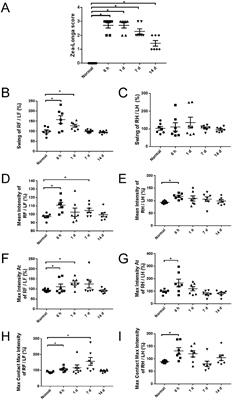 Temporal alteration of microglia to microinfarcts in rat brain induced by the vascular occlusion with fluorescent microspheres